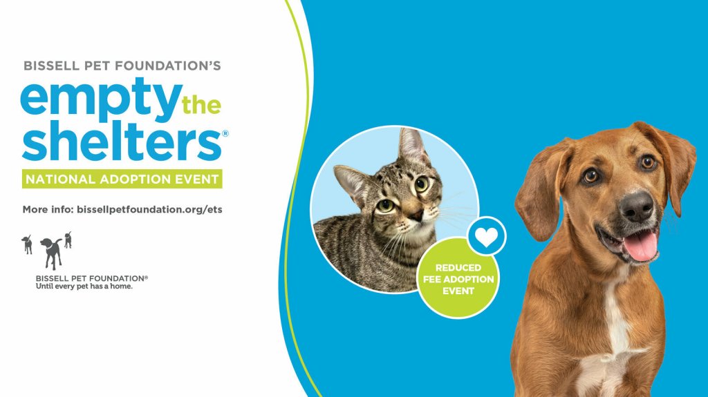 TCRAS Launches Summer Push to “Empty the&nbsp;Shelters”