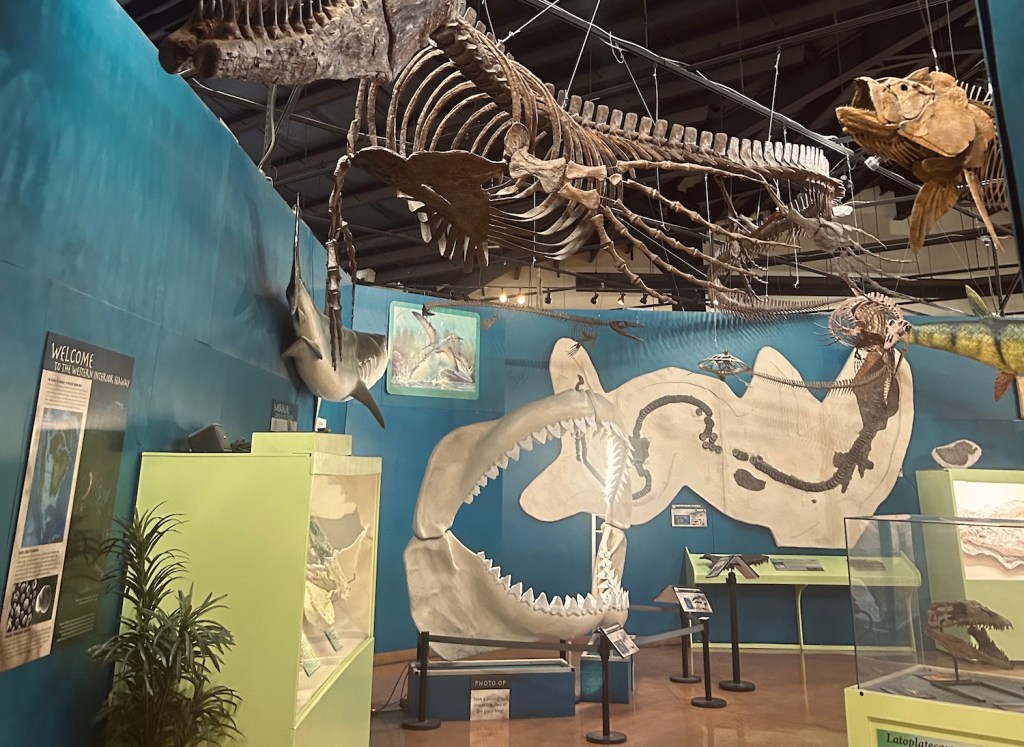 A Day of Dino Fun with Free Kids Admission to Woodland Park’s Dinosaur Resource Center on December&nbsp;30